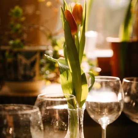 Palac Srodka Bed & Breakfast Chrzypsko Wielkie