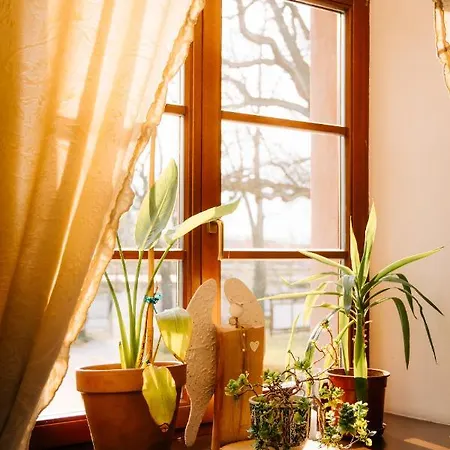 Palac Srodka Bed & Breakfast