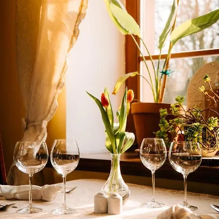 Palac Srodka Bed & Breakfast *