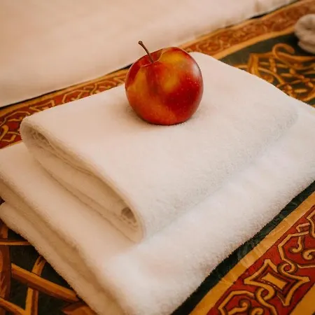 Bed & Breakfast Palac Srodka