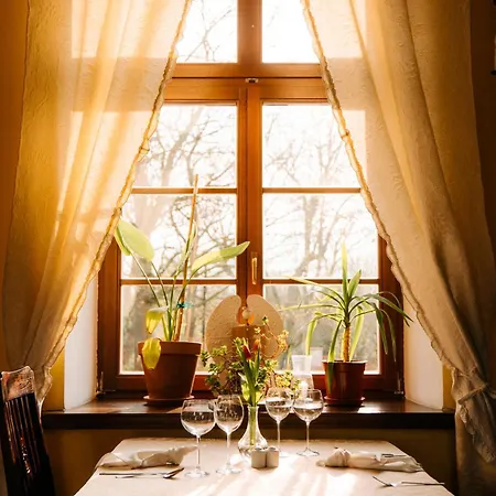 Palac Srodka Bed and Breakfast 4*