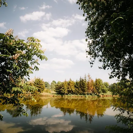 Bed & Breakfast Palac Srodka Chrzypsko Wielkie
