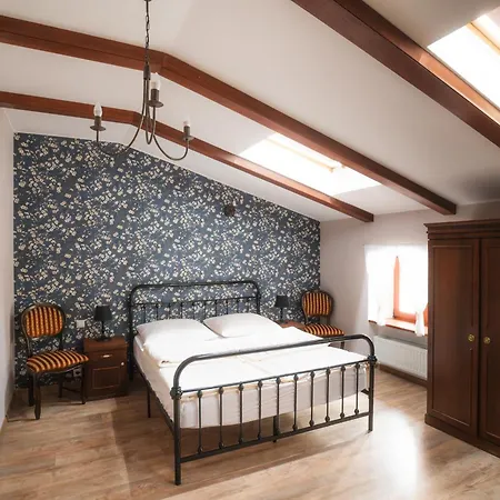 Bed & Breakfast Palac Srodka