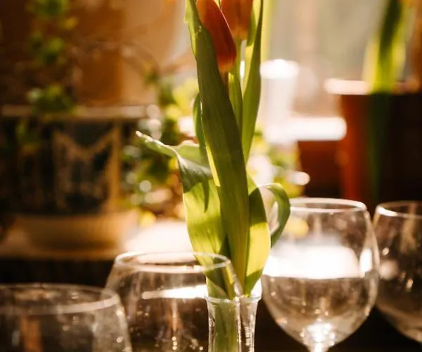 Palac Srodka Couette-café Chrzypsko Wielkie