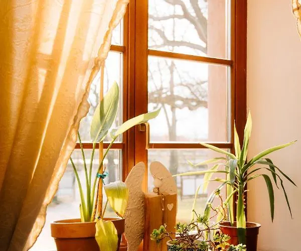 Palac Srodka Couette-café