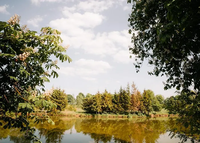 Couette-café Palac Srodka Chrzypsko Wielkie